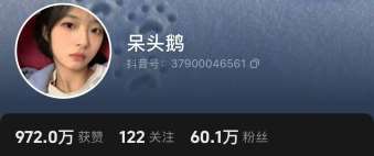 抖音呆头鹅账号截图